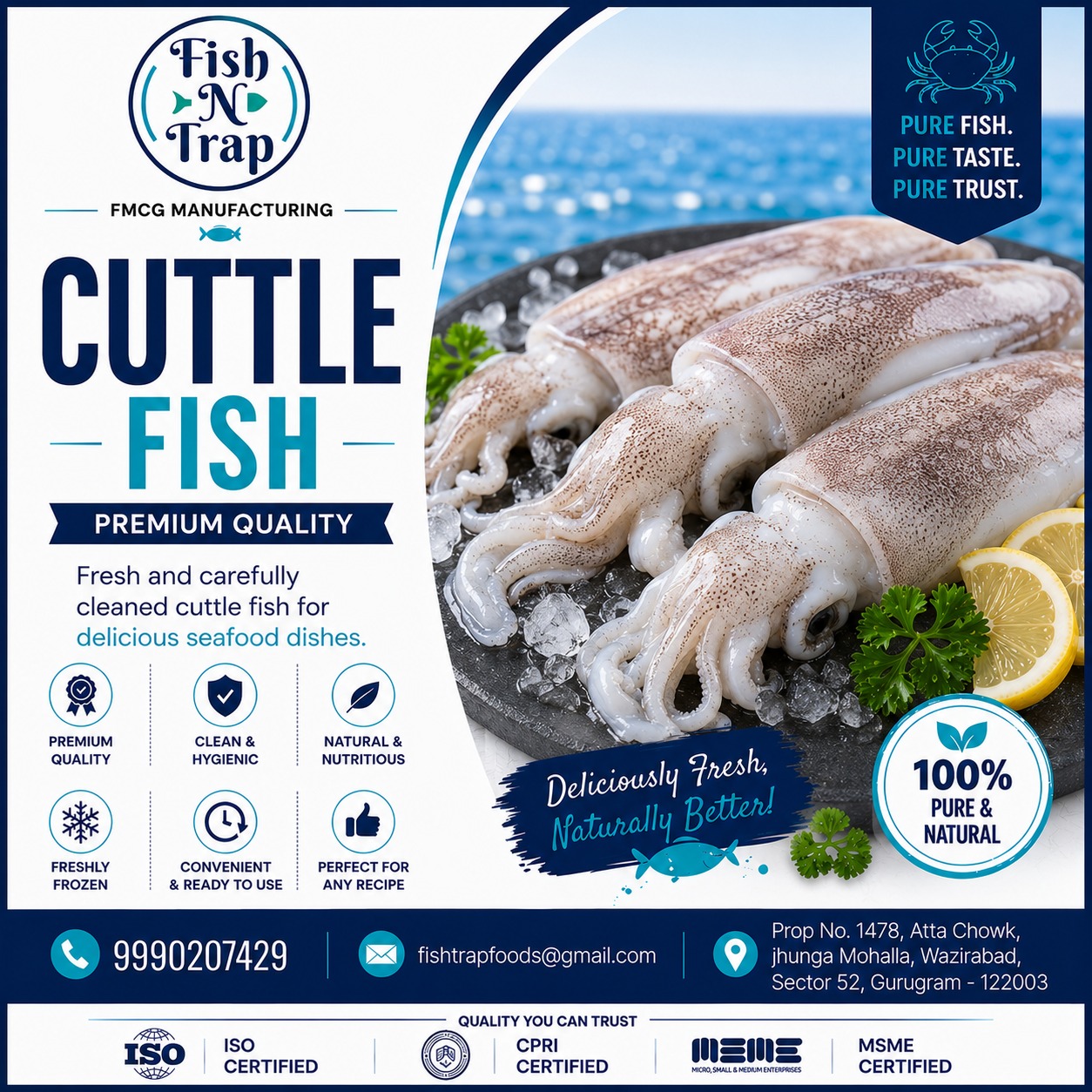 Cuttle Fish