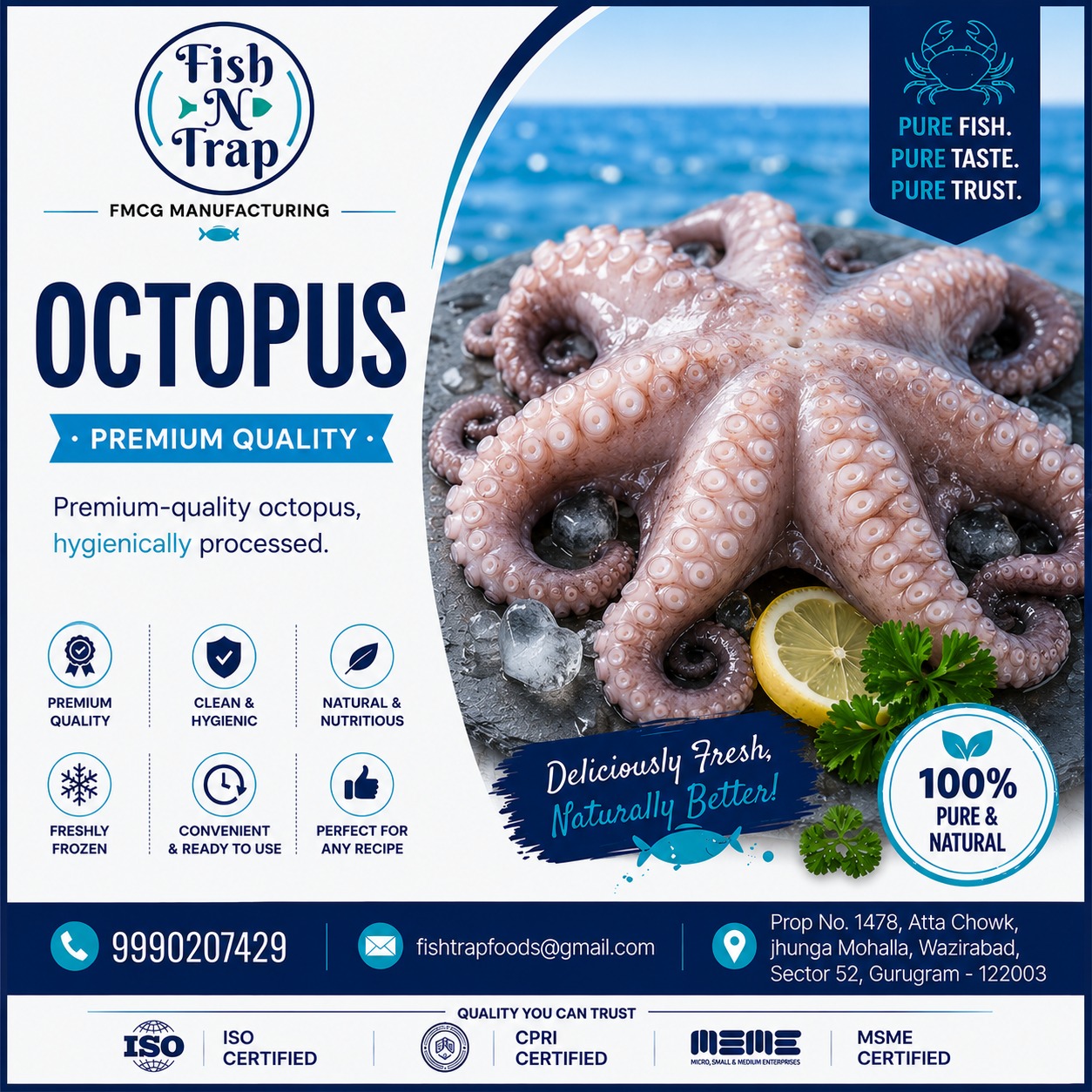 Octopus