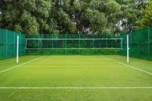 Volleyball Sports Artificial Grass