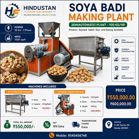 SOYA BADI MAKING PLANT